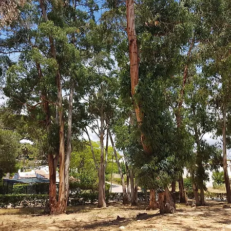Balaia Gardens, Jardins Da Balaia Πανσιόν Αλμπουφέιρα