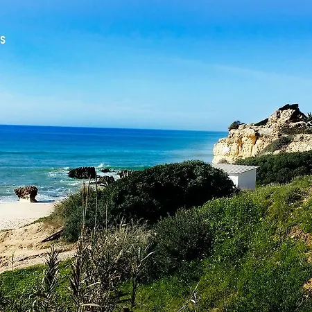 Balaia Gardens, Jardins Da Balaia