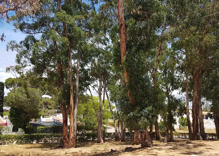 Balaia Gardens, Jardins Da Balaia Pensjonat Albufeira
